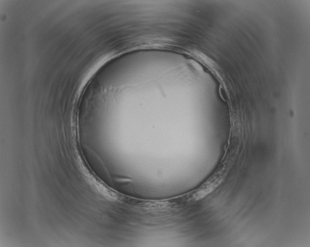 X0000068310859200605051529