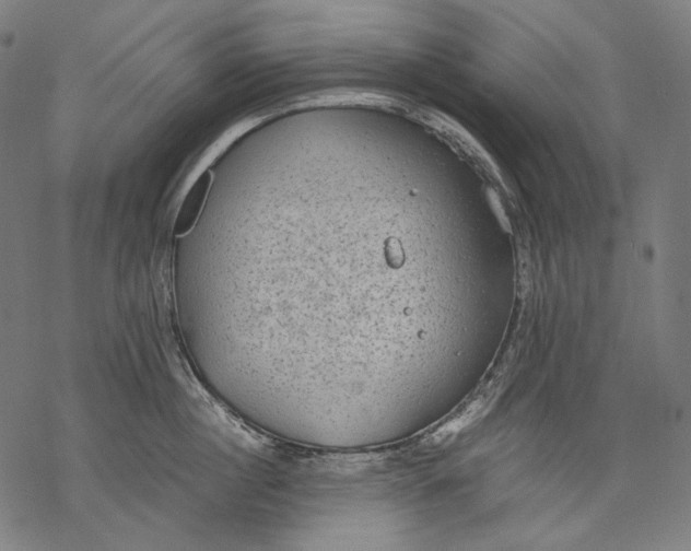 X0000068310860200605051529