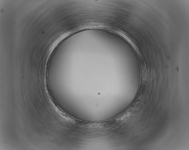 X0000068310861200605051529