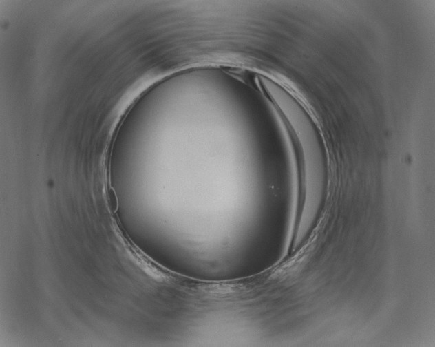 X0000068310862200605051529