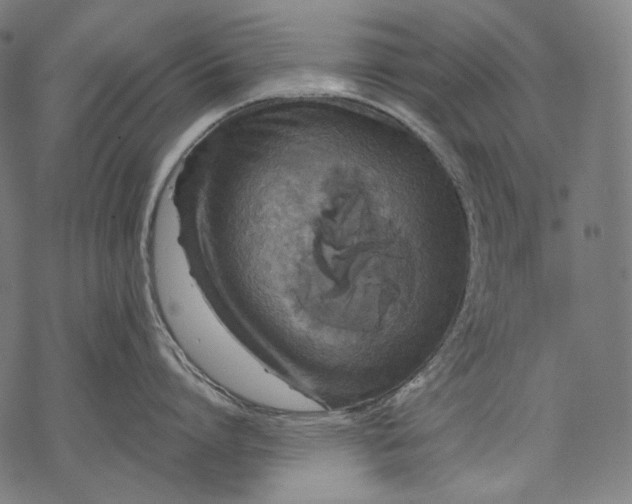 X0000068310864200605051529