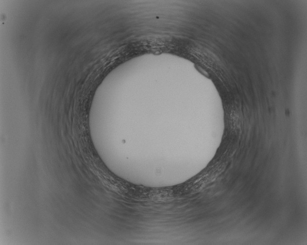 X0000068310865200605051528