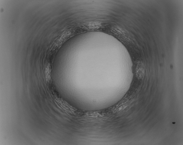 X0000068310866200605051528