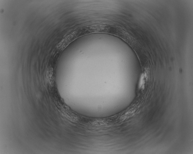 X0000068310867200605051528