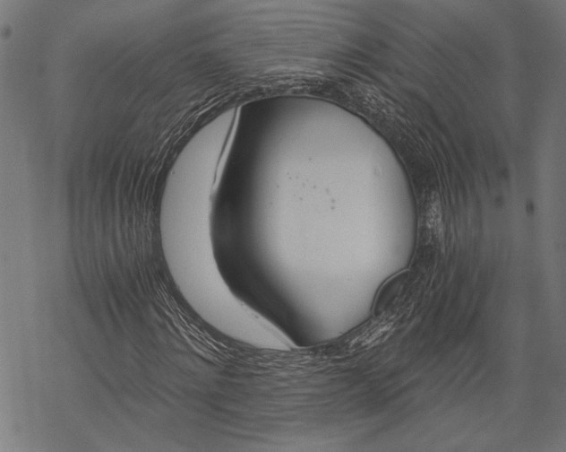 X0000068310868200605051528