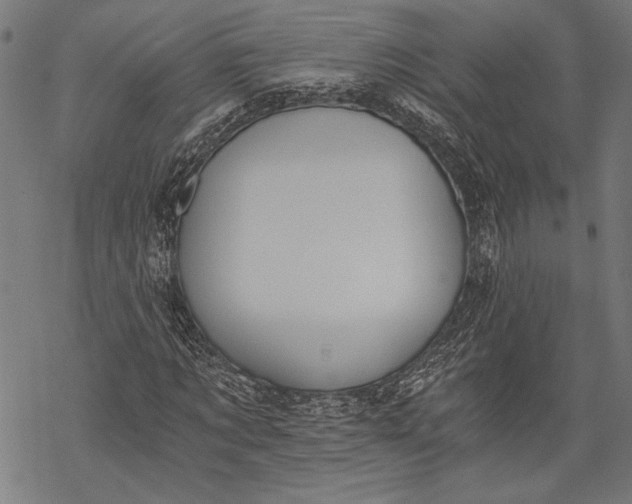 X0000068310869200605051528