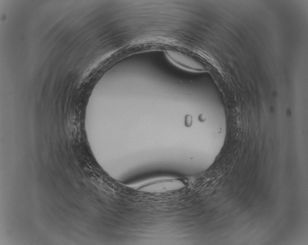 X0000068310872200605051528