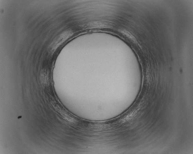 X0000068310873200605051528