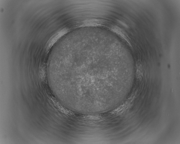 X0000068310874200605051528