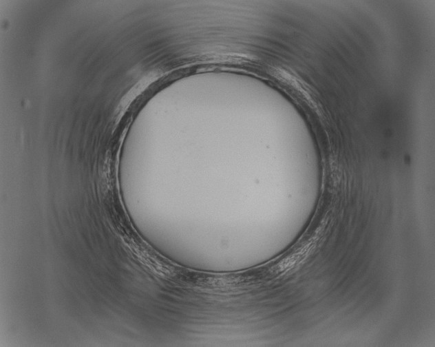 X0000068310875200605051528