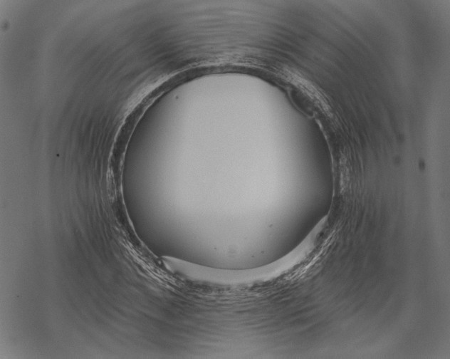 X0000068310876200605051528