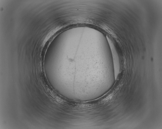 X0000068310877200605051528