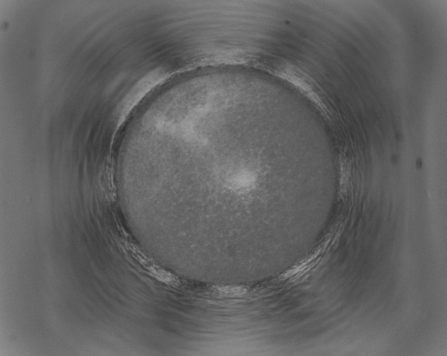 X0000068310878200605051528