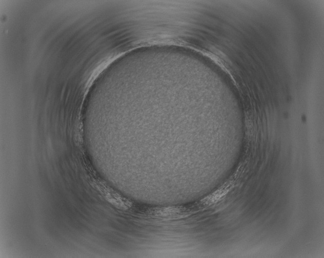 X0000068310879200605051528