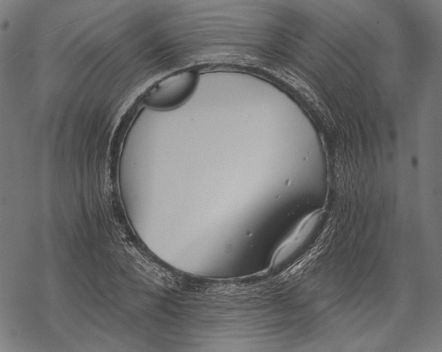 X0000068310880200605051528