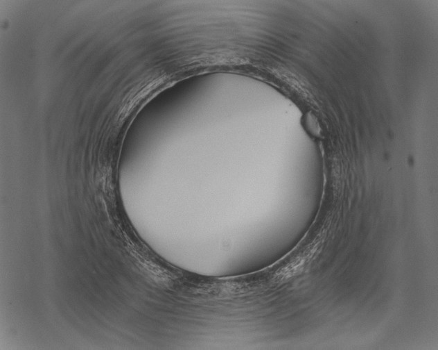 X0000068310881200605051528