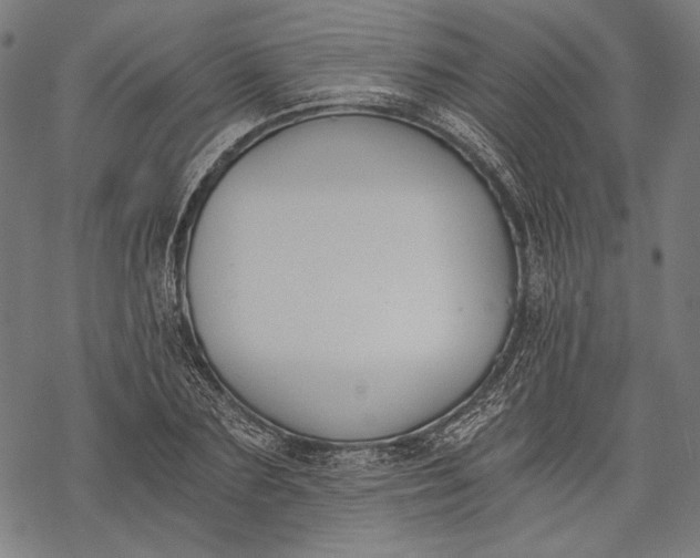 X0000068310883200605051528