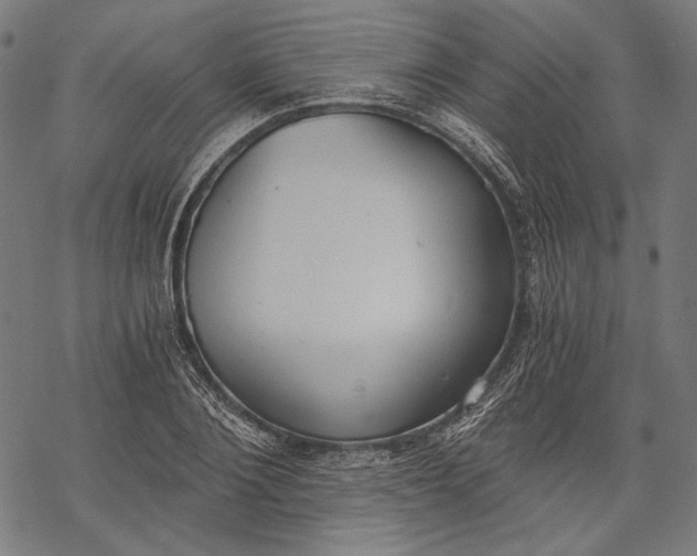 X0000068310884200605051528