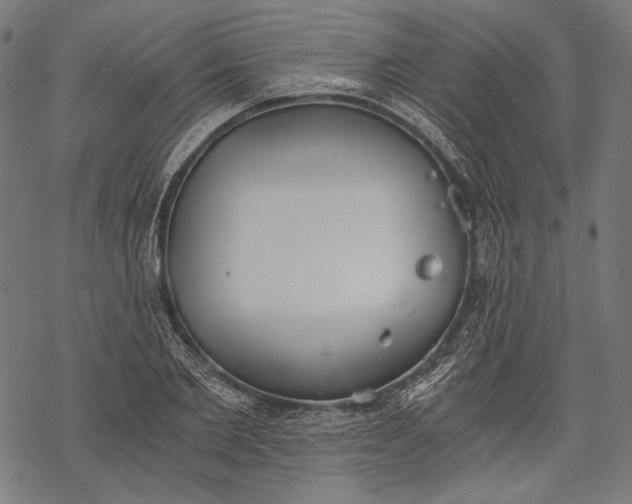 X0000068310885200605051528