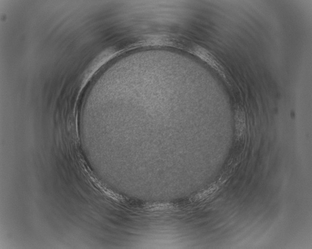 X0000068310886200605051528