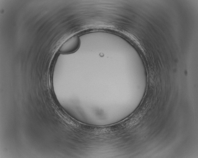 X0000068310887200605051528