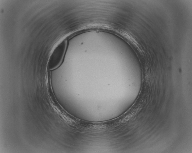 X0000068310888200605051528