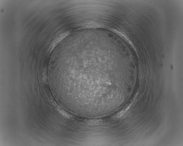 X0000068310889200605051528