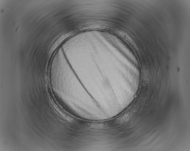 X0000068310890200605051528