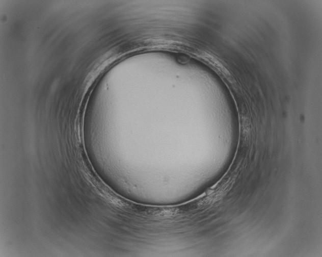 X0000068310891200605051528