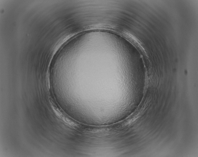 X0000068310892200605051528