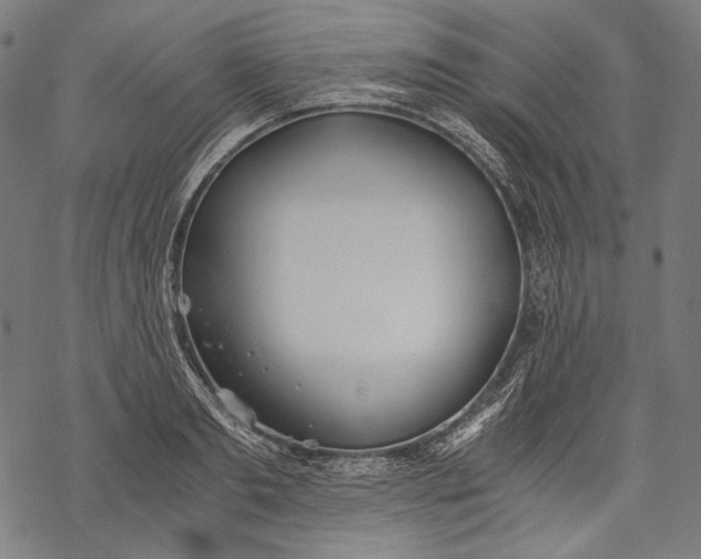 X0000068310893200605051528