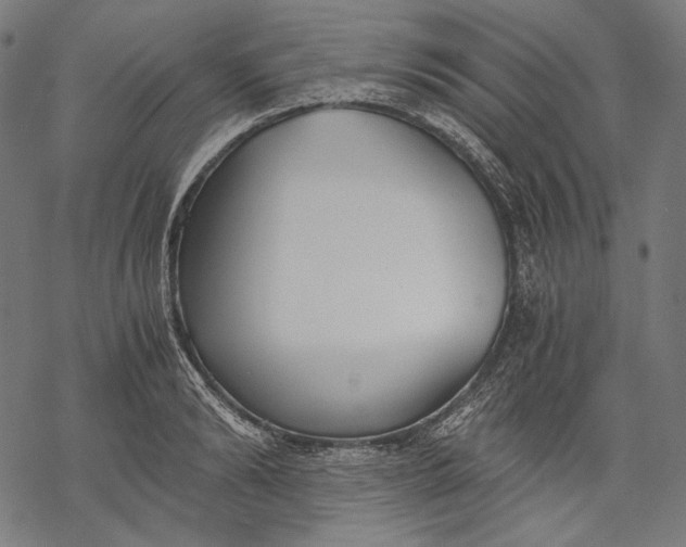 X0000068310894200605051528