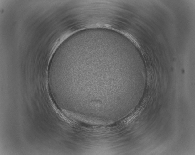 X0000068310895200605051528