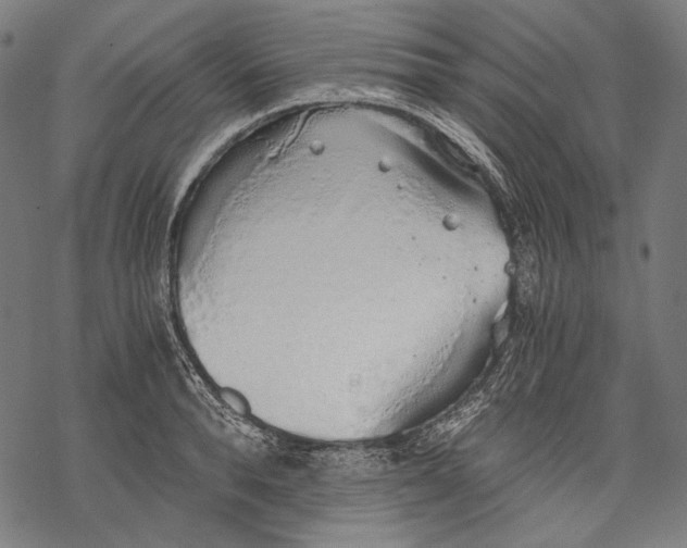 X0000068310896200605051528