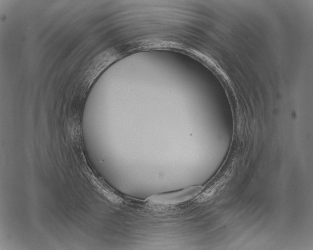 X0000068310897200605051528