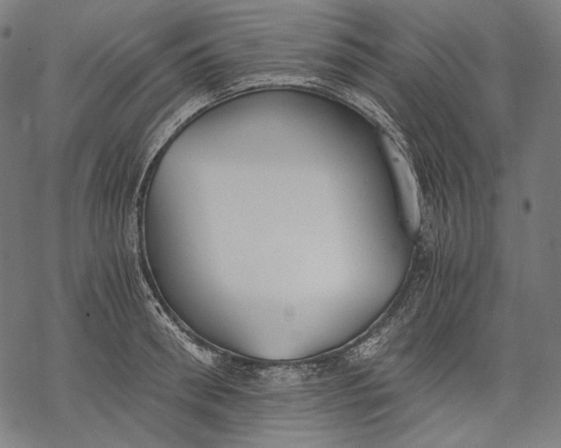 X0000068310898200605051528