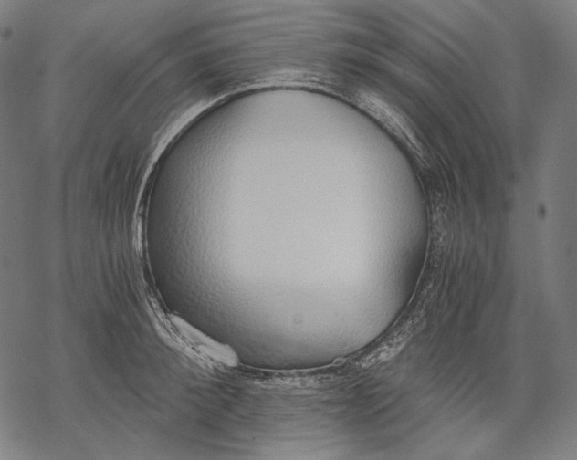 X0000068310900200605051528