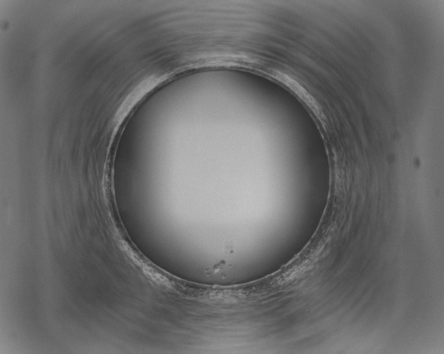 X0000068310901200605051528