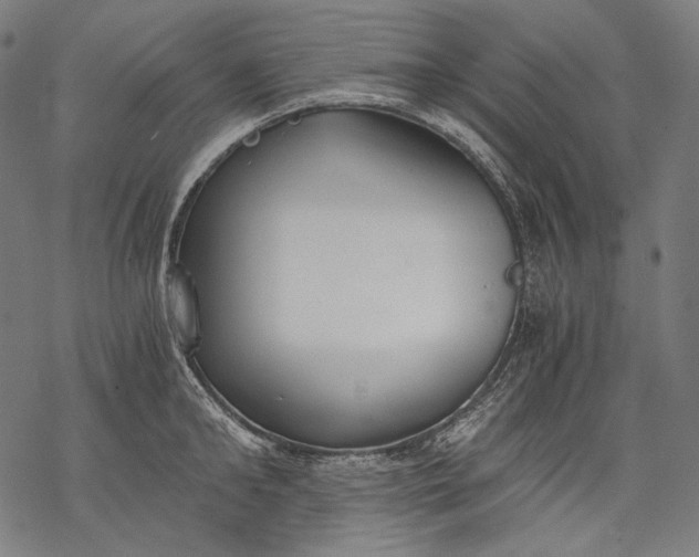 X0000068310902200605051528