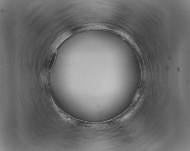 X0000068310905200605051528