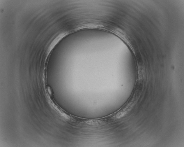 X0000068310906200605051528