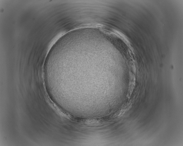 X0000068310907200605051528