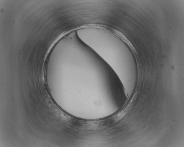 X0000068310908200605051528