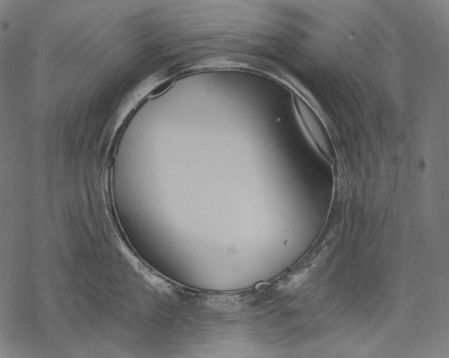 X0000068310909200605051528