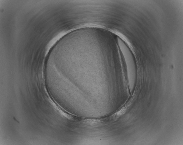 X0000068310910200605051528