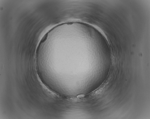 X0000068310911200605051527