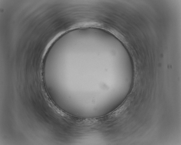 X0000068310912200605051527