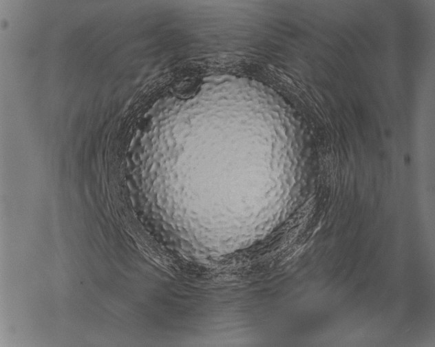 X0000068310913200605051527