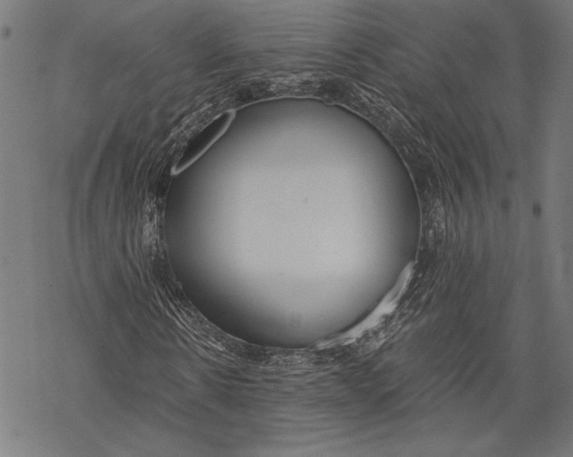 X0000068310914200605051527