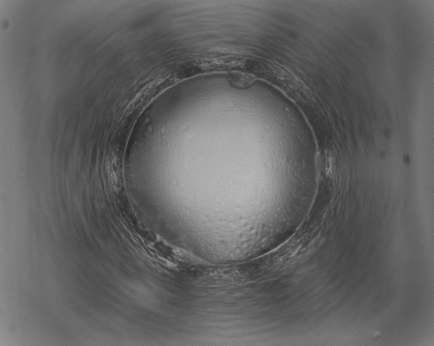 X0000068310915200605051527